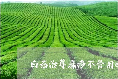 白茶治荨麻疹不管用吗/2023100650494