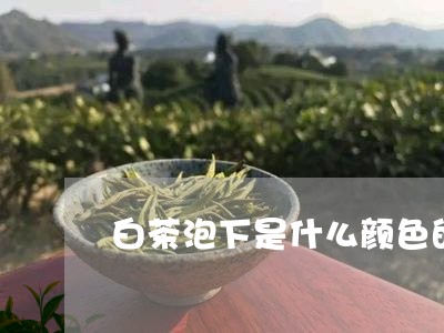 白茶泡下是什么颜色的茶叶/2023110652893