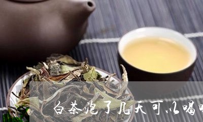 白茶泡了几天可以喝吗/2023100681583