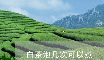 白茶泡几次可以煮/2023073046048