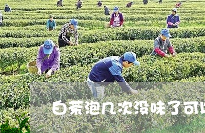 白茶泡几次没味了可以喝吗/2023110674735