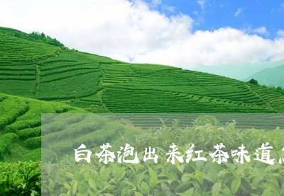 白茶泡出来红茶味道怎么样/2023110639683