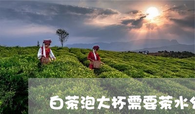 白茶泡大杯需要茶水分离吗/2023110670291