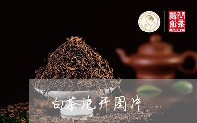 白茶泡开图片/2023052075359