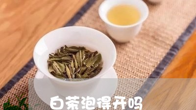 白茶泡得开吗/2023052039272