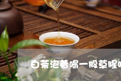 白茶泡着喝一股草腥味/2023100629470