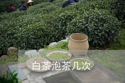 白茶泡茶几次/2023063023724