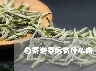 白茶泡茶后有什么用/2023072483818