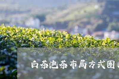 白茶泡茶布局方式图片大全/2023110795028