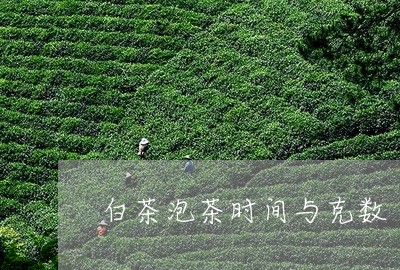 白茶泡茶时间与克数/2023073072835