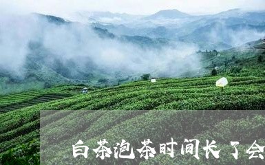 白茶泡茶时间长了会变质吗/2023110755160