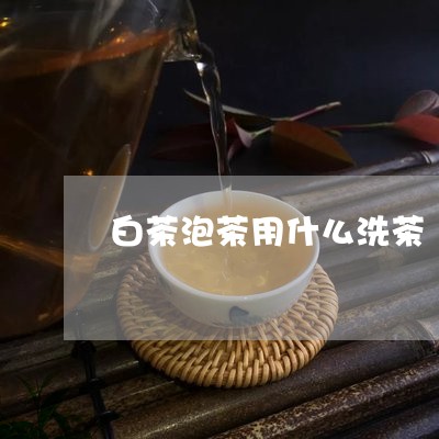 白茶泡茶用什么洗茶/2023072409380