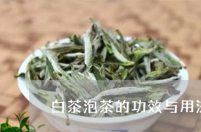 白茶泡茶的功效与用法/2023100660593