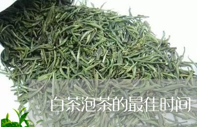 白茶泡茶的最佳时间/2023072431814