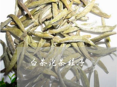 白茶泡茶程序/2023052030485