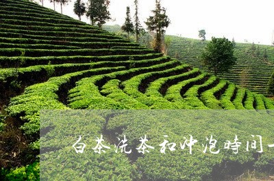 白茶洗茶和冲泡时间一样吗/2023110723727