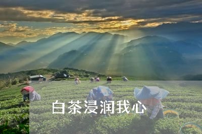 白茶浸润我心/2023052078613