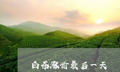 白茶涨价最后一天/2023080330684