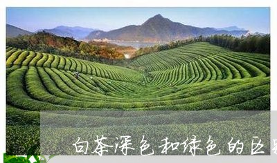 白茶深色和绿色的区别在哪/2023110764361