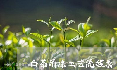 白茶清凉工艺流程表/2023072484937