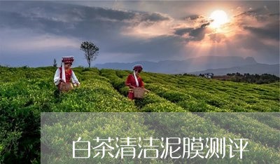 白茶清洁泥膜测评/2023080360592