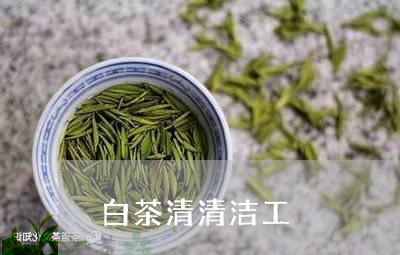 白茶清清洁工/2023052057280