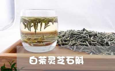 白茶灵芝石斛/2023052029482