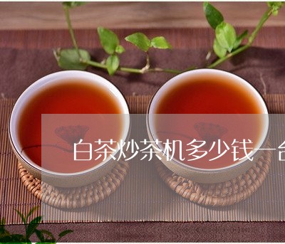 白茶炒茶机多少钱一台/2023100739260