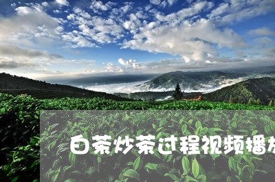 白茶炒茶过程视频播放大全/2023110827492