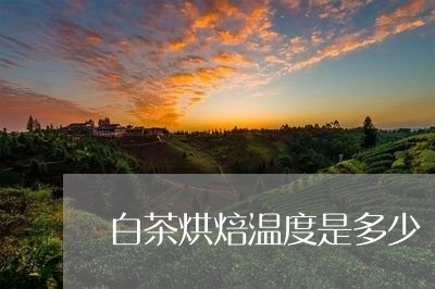 白茶烘焙温度是多少/2023072455040