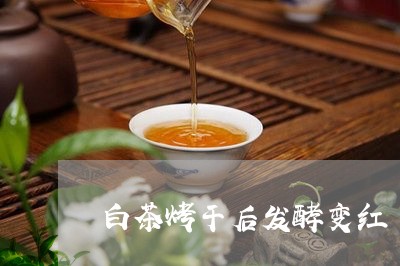 白茶烤干后发酵变红/2023072351684