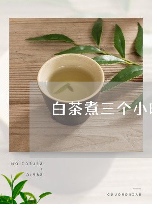 白茶煮三个小时可以吗/2023100707171