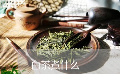 白茶煮什么/2023051066384