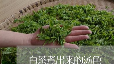 白茶煮出来的汤色/2023080282038