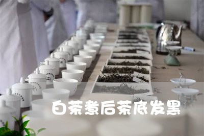 白茶煮后茶底发黑/2023070171603