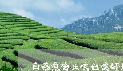 白茶煮啥止咳化痰好用点/2023073150471