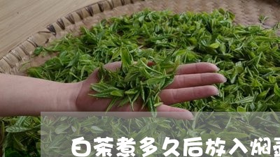 白茶煮多久后放入焖壶/2023100708148