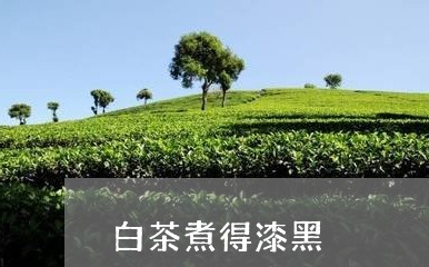 白茶煮得漆黑/2023052062837