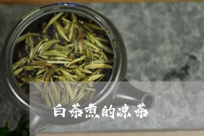 白茶煮的凉茶/2023052038582