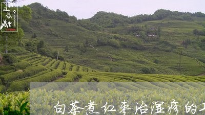 白茶煮红枣治湿疹的功效/2023063045161