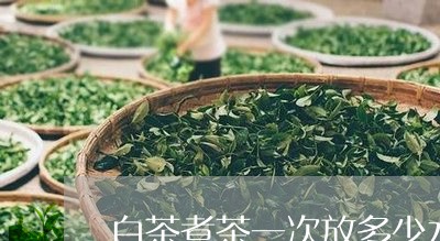 白茶煮茶一次放多少水最好/2023110742716