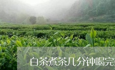 白茶煮茶几分钟喝完好吗/2023063059493