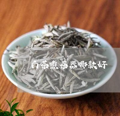 白茶煮茶器哪款好/2023080291725