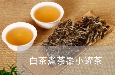 白茶煮茶器小罐茶/2023073102029