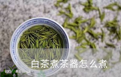 白茶煮茶器怎么煮/2023073132516