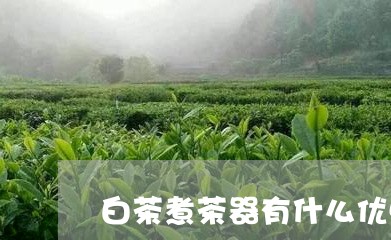 白茶煮茶器有什么优点/2023100675947