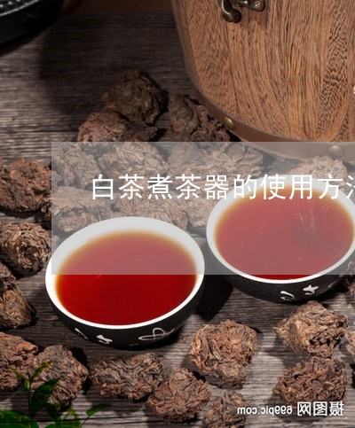 白茶煮茶器的使用方法/2023100655958