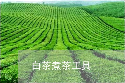 白茶煮茶工具/2023052090505