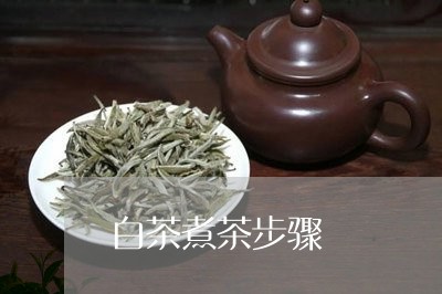 白茶煮茶步骤/2023052021616