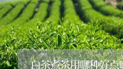 白茶煮茶用哪种好点呢女士/2023110739391